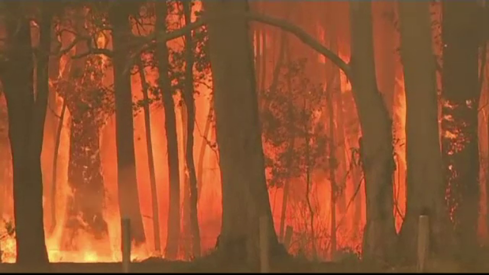 Ciumă, incendii devastatoare și inundații: dezastrele provocate de schimbările climatice - Imaginea 8