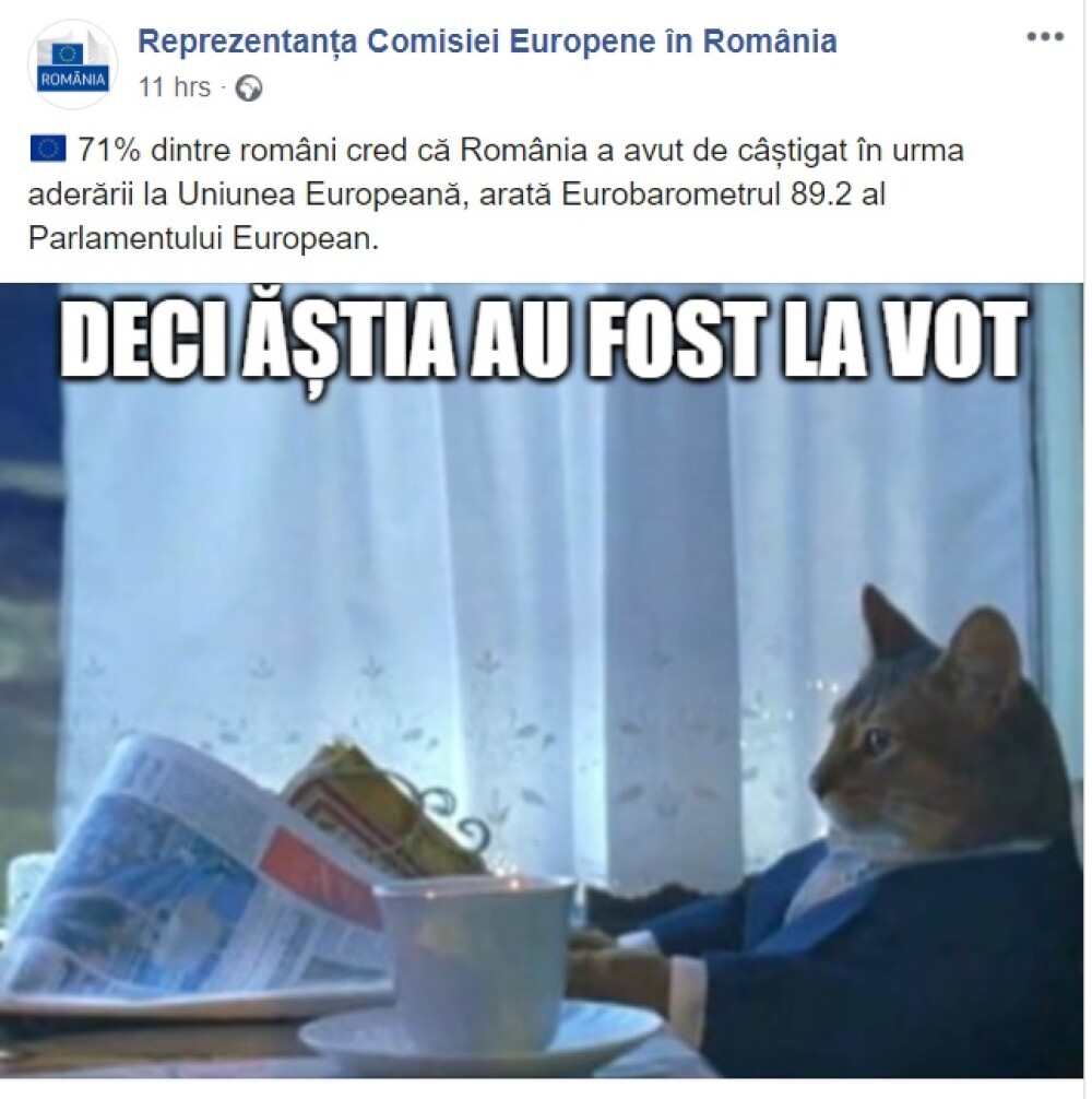 Reprezentanța CE în România, postare ironică după rezultatul obținut de Dăncilă în turul 2 - Imaginea 1