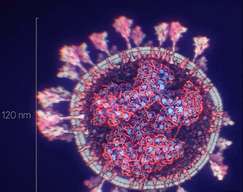 Cele mai noi imagini cu coronavirusul SARS-CoV-2 văzut la microscop. GALERIE FOTO - Imaginea 1