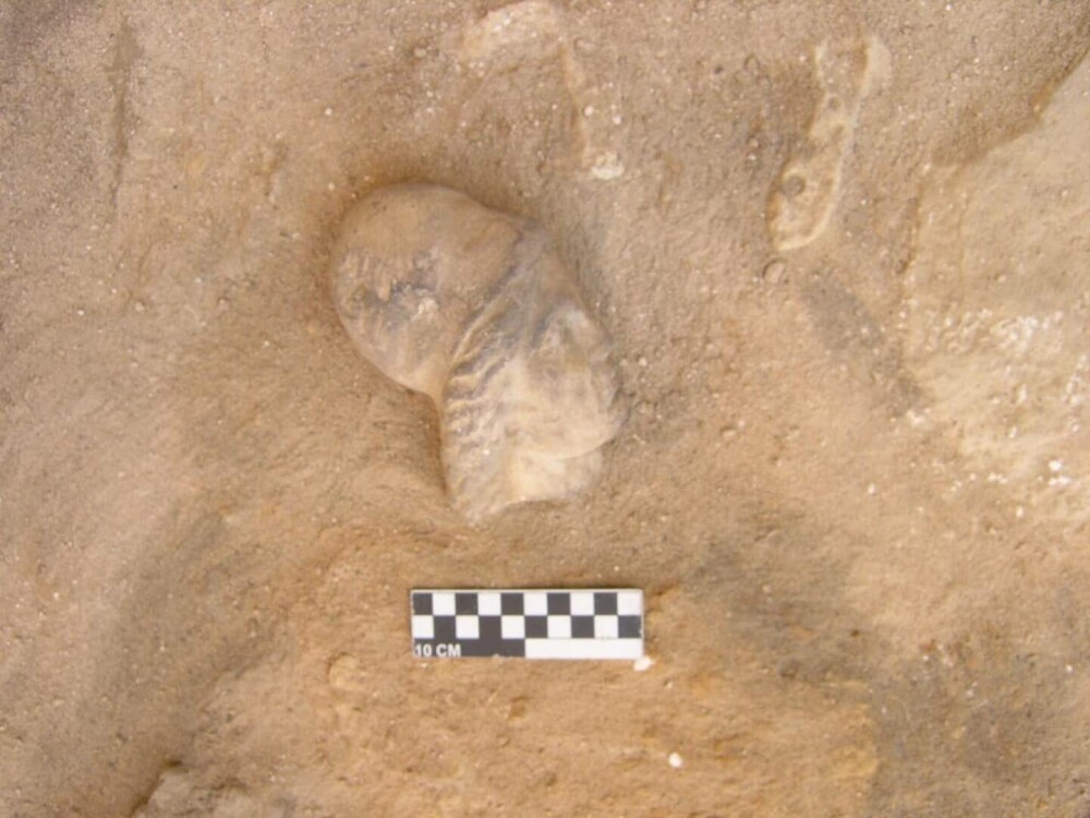 Misterul mormântului Cleopatrei din Egipt. Arheologii cred că sunt pe cale să facă o descoperire uriașă GALERIE FOTO - Imaginea 5