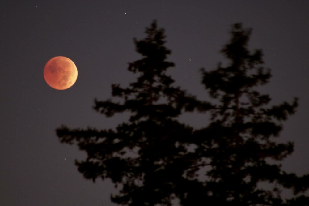 Imagini spectaculoase cu eclipsa totală de Lună | GALERIE FOTO - Imaginea 7
