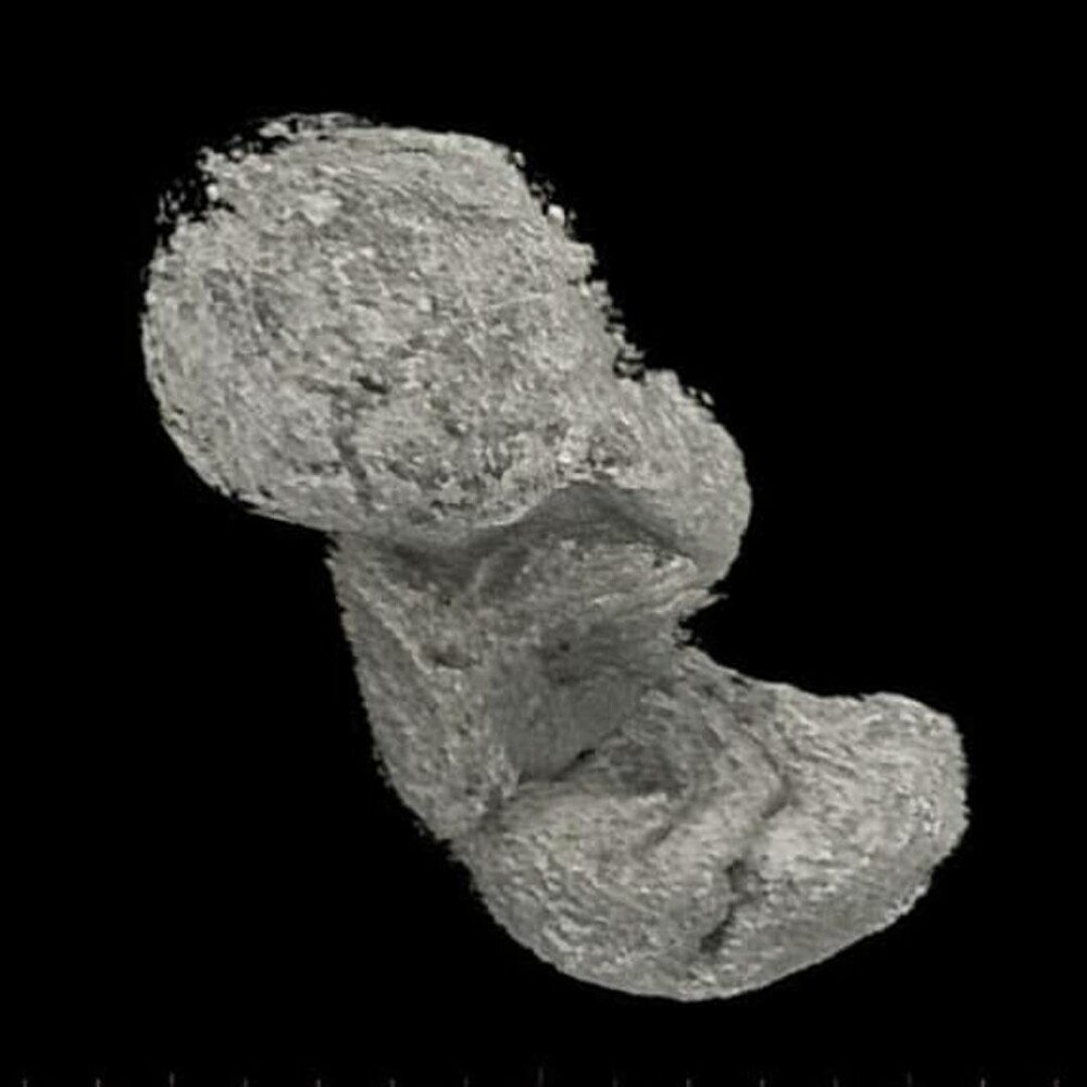 Cum arăta prima femeie mumificată în timp ce era însărcinată. Oamenii de știință i-au reconstituit chipul | GALERIE FOTO - Imaginea 16