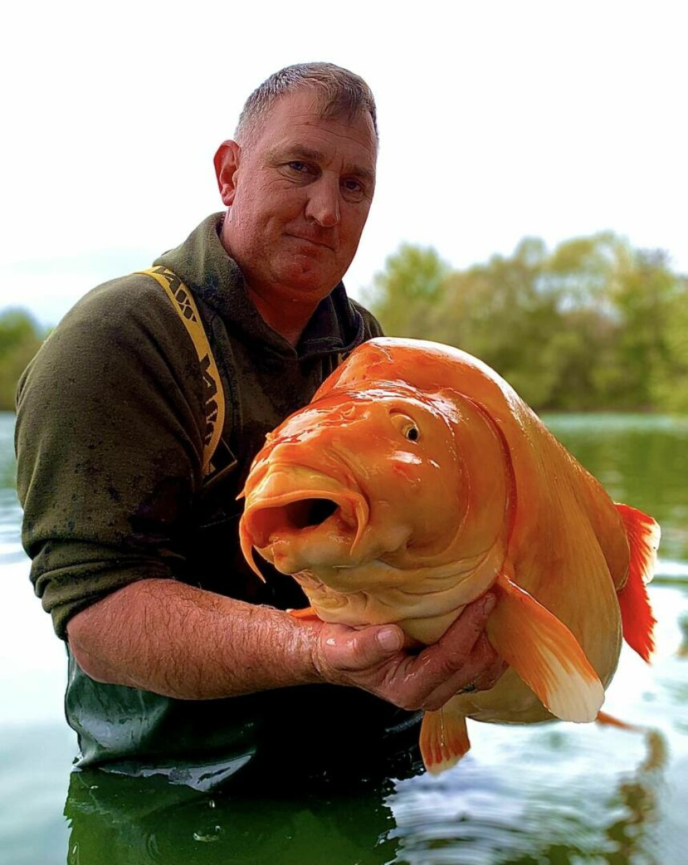 A fost prins cel mai mare pește auriu din lume. Un bărbat a făcut captura care a doborât recordul. FOTO - Imaginea 1