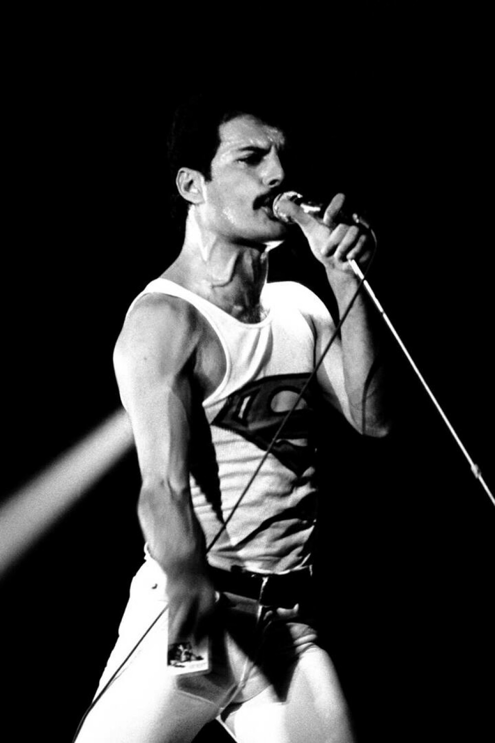 31 de ani de la moartea lui Freddie Mercury. Cum a luat viață trupa Queen GALERIE FOTO - Imaginea 14