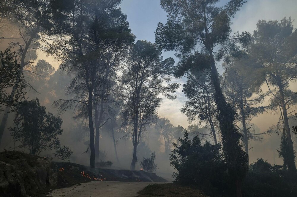 VIDEO. Incendiu de vegetație în Spania. Peste 800 de oameni au fost evacuați. GALERIE FOTO - Imaginea 16