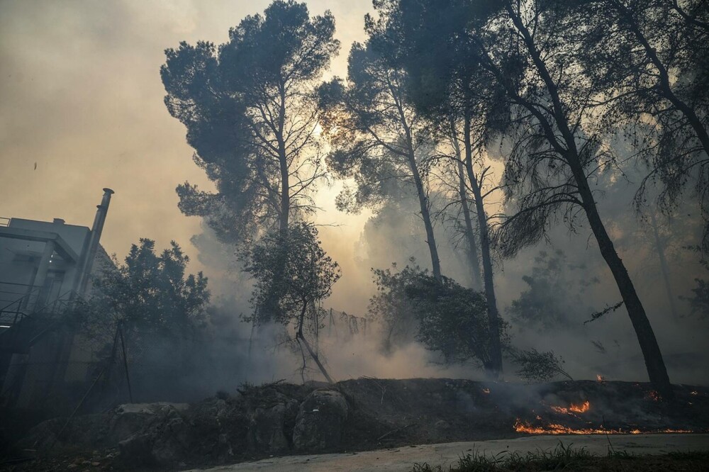 VIDEO. Incendiu de vegetație în Spania. Peste 800 de oameni au fost evacuați. GALERIE FOTO - Imaginea 11