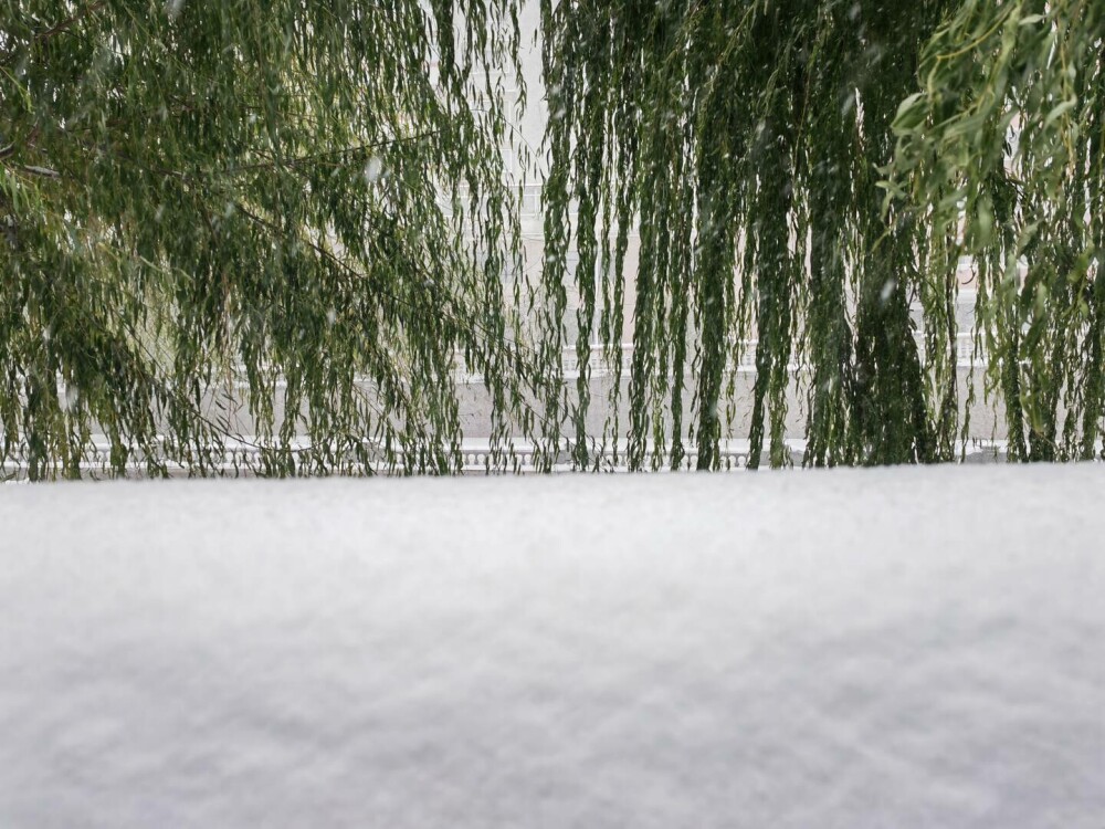Zăpada și viscolul au pus stăpânire pe nord-vestul Chinei. Locuitorii au fost avertizați să rămână în case | GALERIE FOTO - Imaginea 2