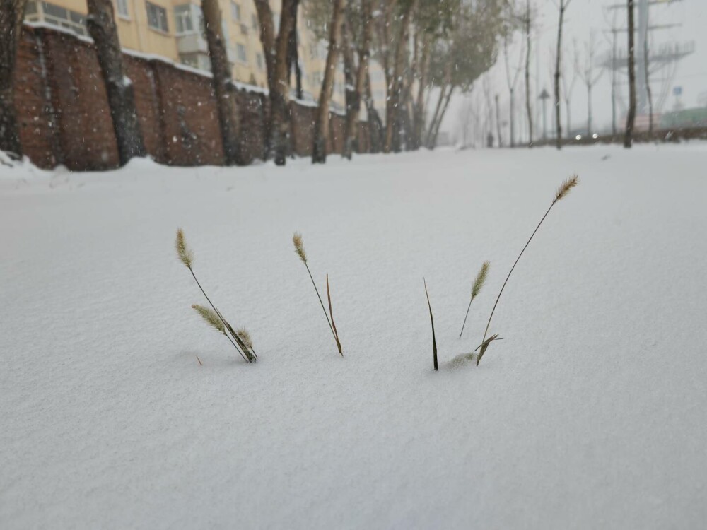 Zăpada și viscolul au pus stăpânire pe nord-vestul Chinei. Locuitorii au fost avertizați să rămână în case | GALERIE FOTO - Imaginea 5