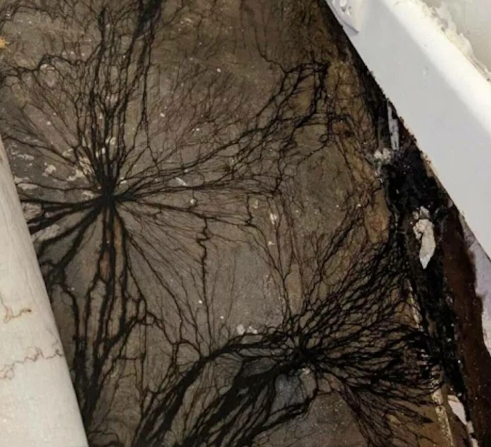 O femeie a făcut o descoperire înfiorătoare după ce s-a uitat sub scândurile din podeaua casei. FOTO - Imaginea 3