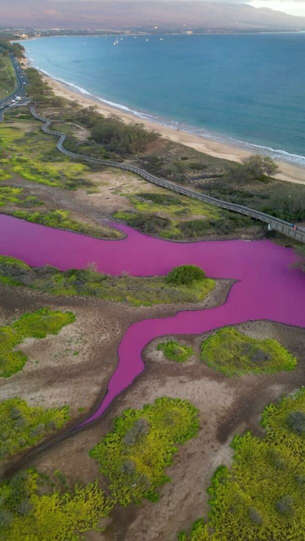 Motivul pentru care apa unui lac s-a colorat în magenta. Ce se află în spatele culorii aprinse | FOTO - Imaginea 1