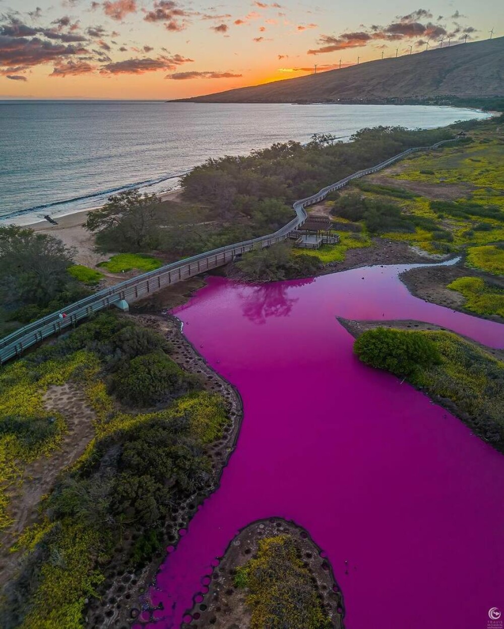 Motivul pentru care apa unui lac s-a colorat în magenta. Ce se află în spatele culorii aprinse | FOTO - Imaginea 2