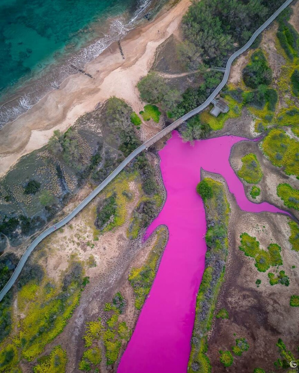 Motivul pentru care apa unui lac s-a colorat în magenta. Ce se află în spatele culorii aprinse | FOTO - Imaginea 6