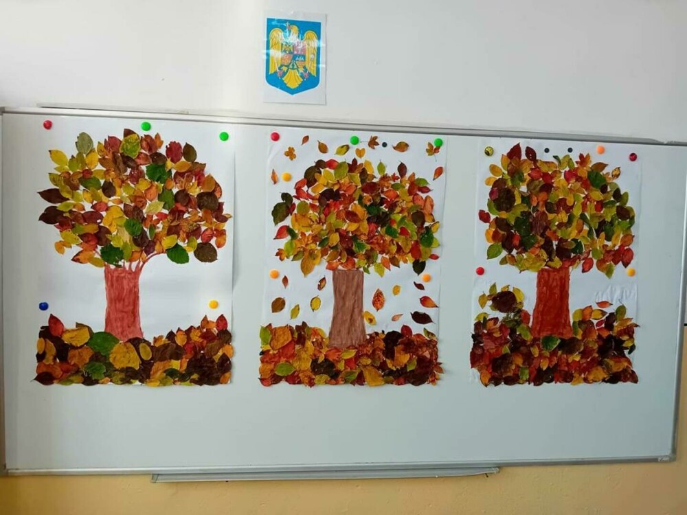 Școala din Buzău care luptă să ofere o oază de educație și speranță într-o comunitate afectată de abandonul școlar - Imaginea 32