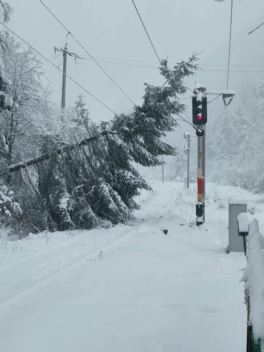 Traficul feroviar, afectat de vântul puternic, ploi şi ninsori viscolite, în judeţele aflate sub coduri meteo. FOTO - Imaginea 1