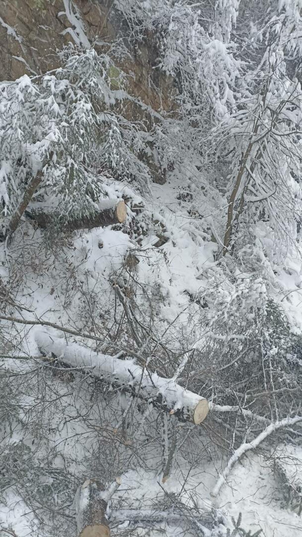 Traficul feroviar, afectat de vântul puternic, ploi şi ninsori viscolite, în judeţele aflate sub coduri meteo. FOTO - Imaginea 2