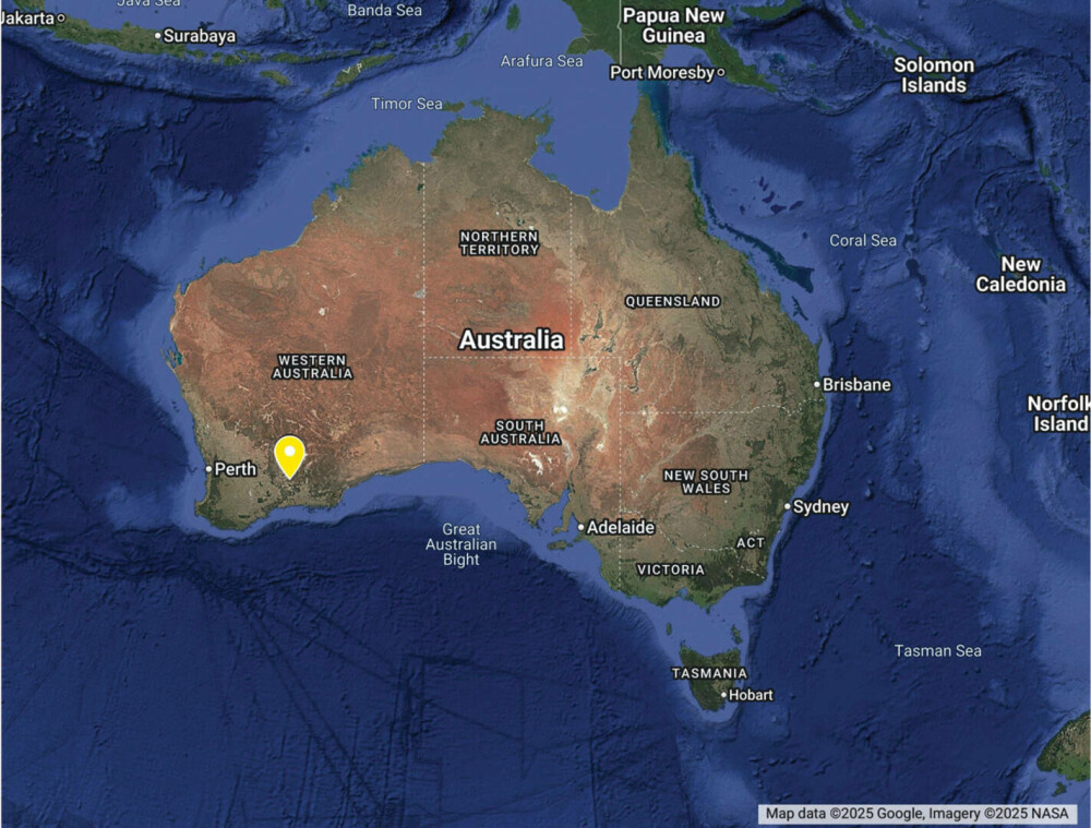 Au descoperit o nouă specie de albină și au numit-o pe loc Lucifer. Are coarne ca de diavol și trăiește doar acolo | FOTO - Imaginea 3