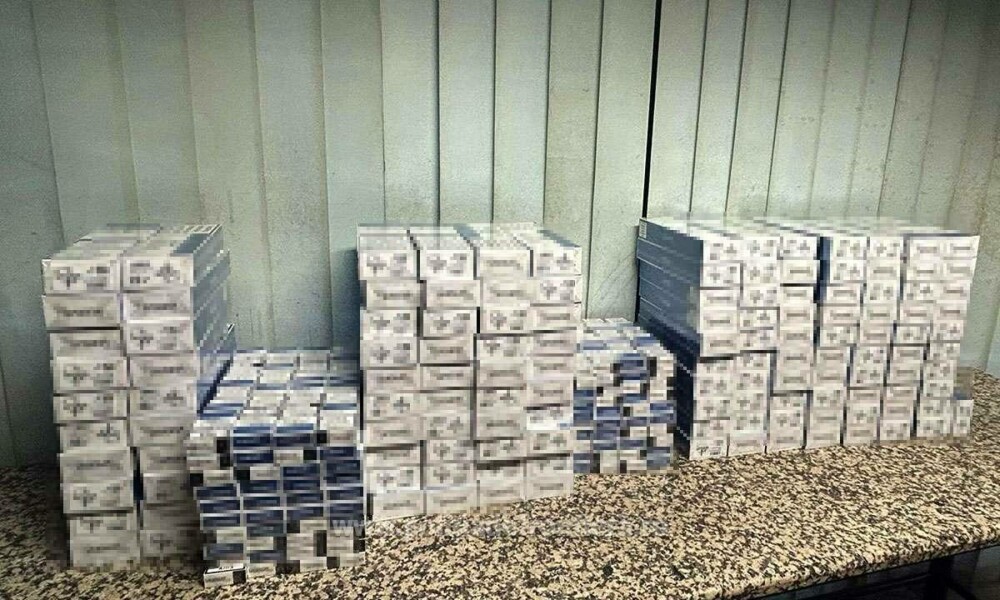 Descoperire surprinzătoare pe Aeroportul Otopeni. Ce ascundeau în bagaje trei pasageri. GALERIE FOTO - Imaginea 8