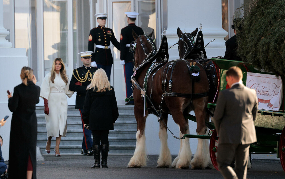 Melania Trump, apariție remarcabilă la brațul lui Donald Trump, de Ziua Recunoștinței. Ce ținută a purtat. GALERIE FOTO - Imaginea 4