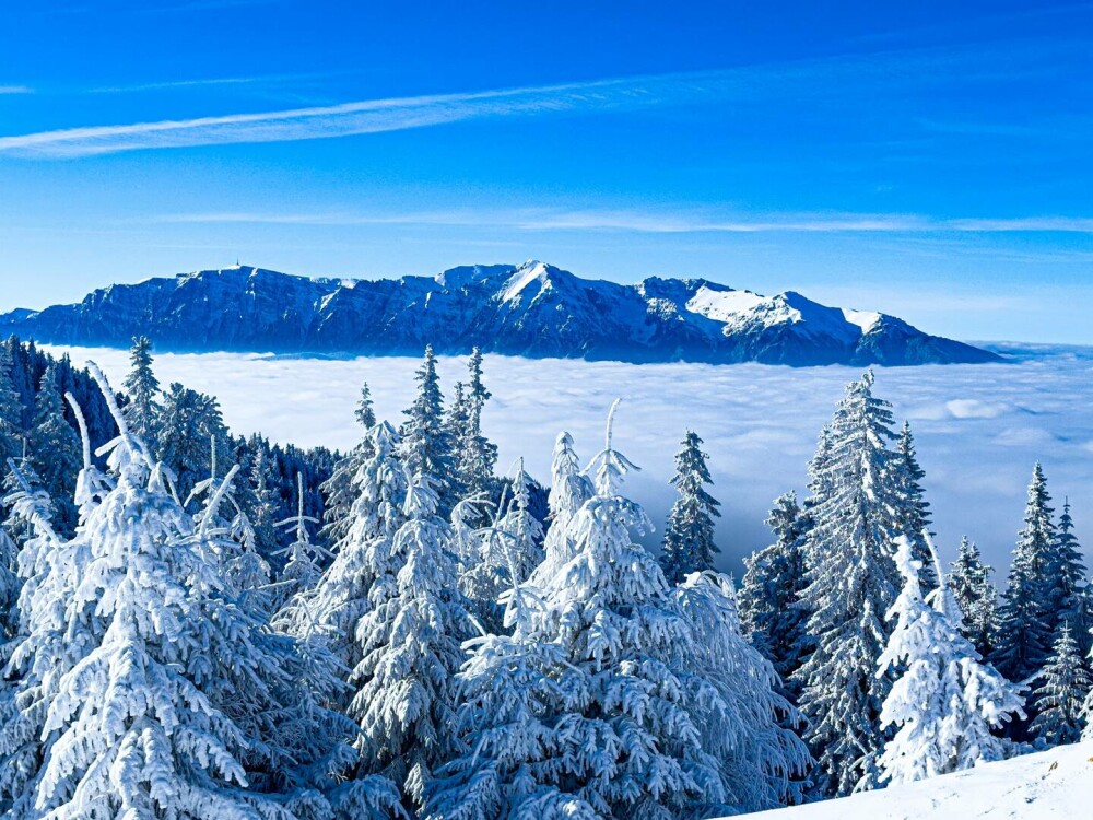 Destinații pentru minivacanța de 1 Decembrie, în România. Locurile ideale pentru a te deconecta - Imaginea 19