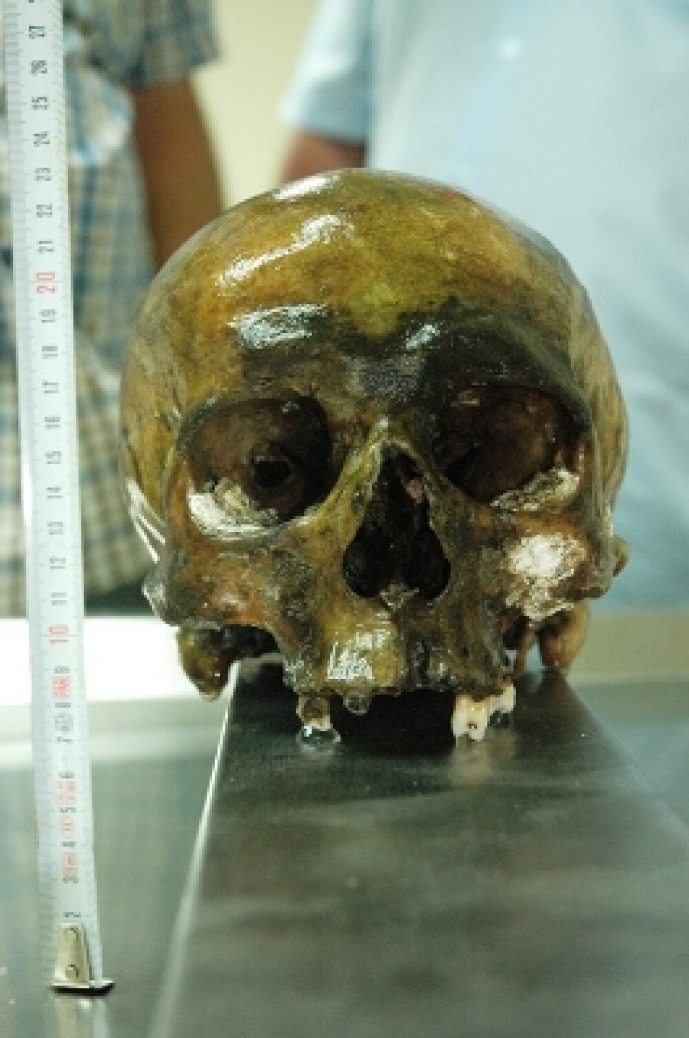 Craniu descoperit la Covasna - anchetatorii cred ca e al Elodiei. FOTO - Imaginea 2