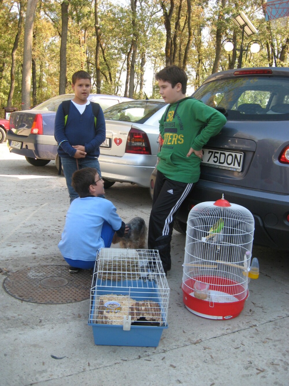 Soricei, pisici si papagali si-au dat intalnire, de ziua lor, in Padurea Ceala din Arad - Imaginea 4