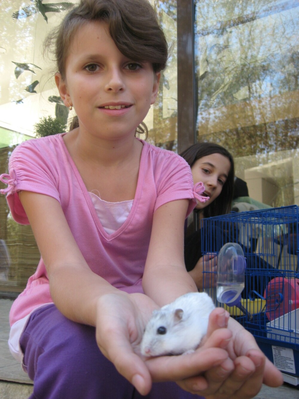 Soricei, pisici si papagali si-au dat intalnire, de ziua lor, in Padurea Ceala din Arad - Imaginea 12