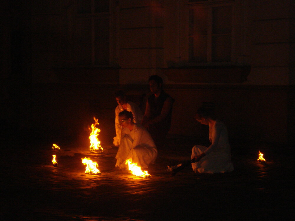Spectacol cu foc si jocuri de lumini la incheierea Festivalului Baroc. GALERIE FOTO impresionanta - Imaginea 10
