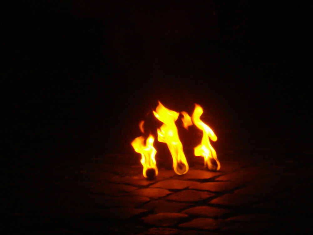 Spectacol cu foc si jocuri de lumini la incheierea Festivalului Baroc. GALERIE FOTO impresionanta - Imaginea 11
