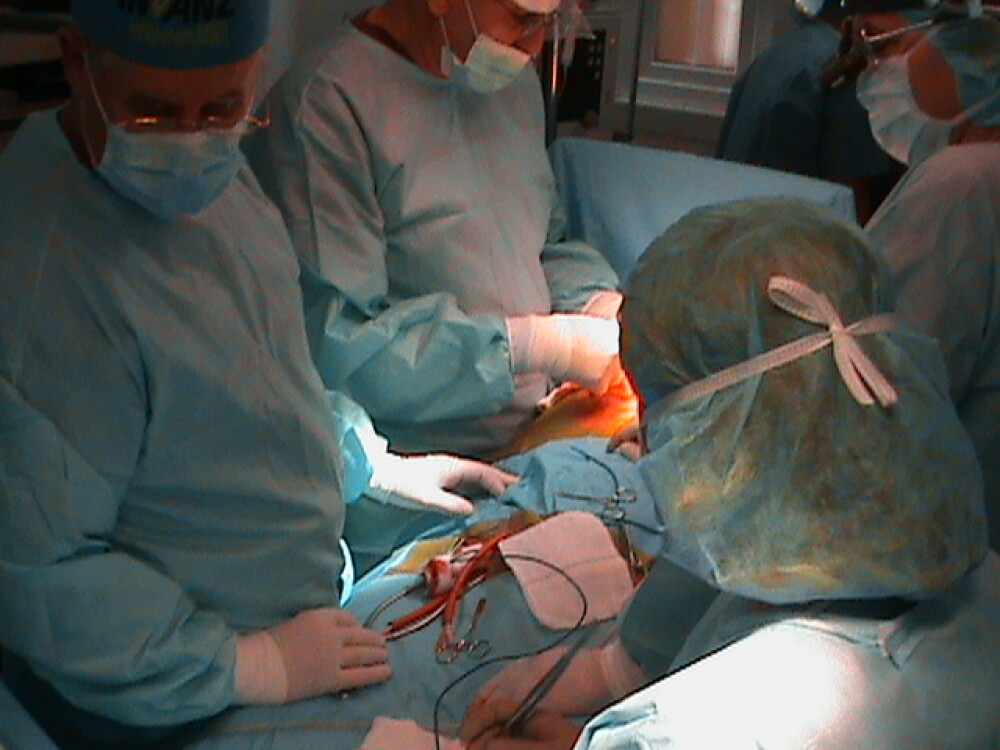 Operatie pe cord deschis realizata in premiera, la Universitatea de Vest “Vasile Goldis” din Arad - Imaginea 2