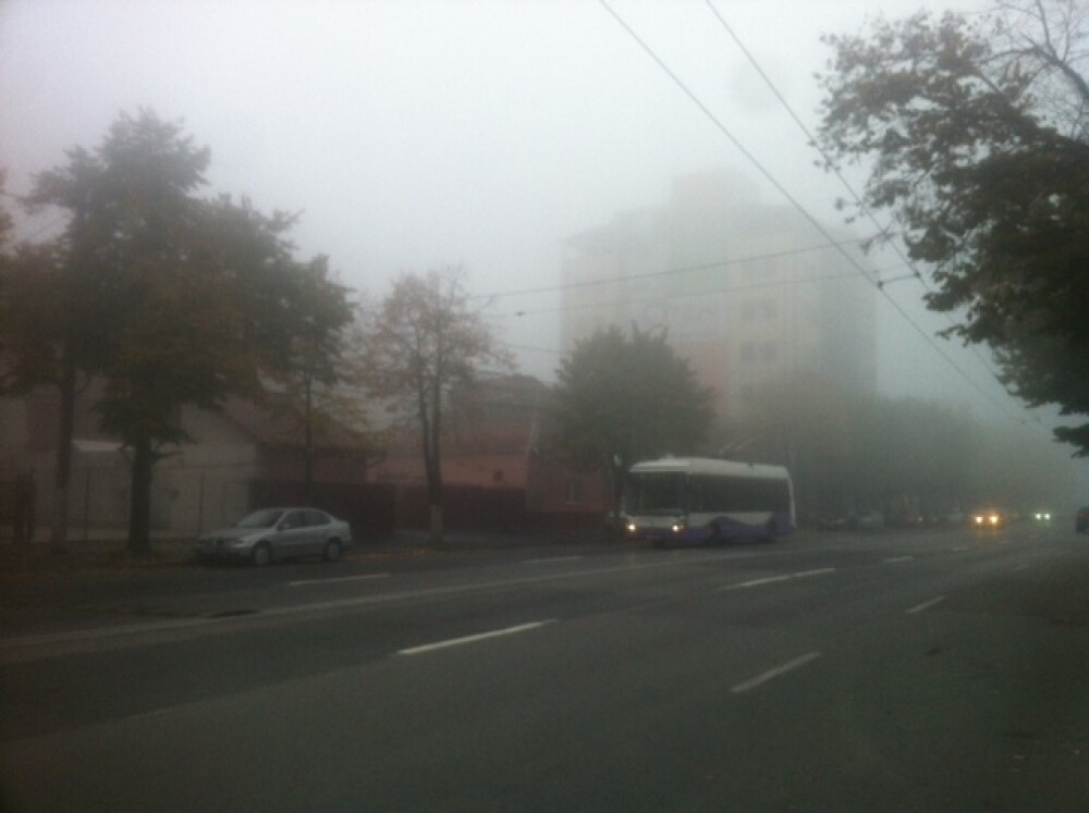 Avertizare de ceata in judetele Timis, Arad, Bihor, Caras-Severin si Hunedoara - Imaginea 2