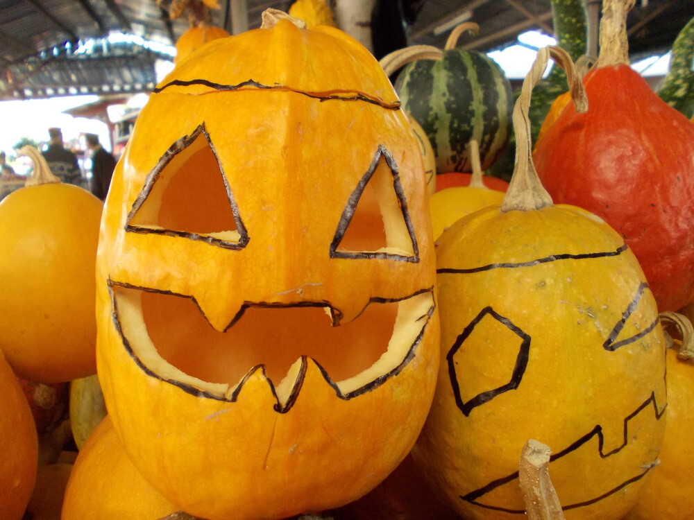 Dovleci pregatiti pentru noaptea de Halloween in pietele din Timisoara. Vezi galerie FOTO - Imaginea 1