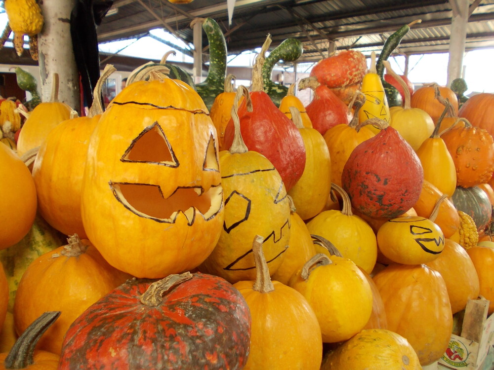 Dovleci pregatiti pentru noaptea de Halloween in pietele din Timisoara. Vezi galerie FOTO - Imaginea 3