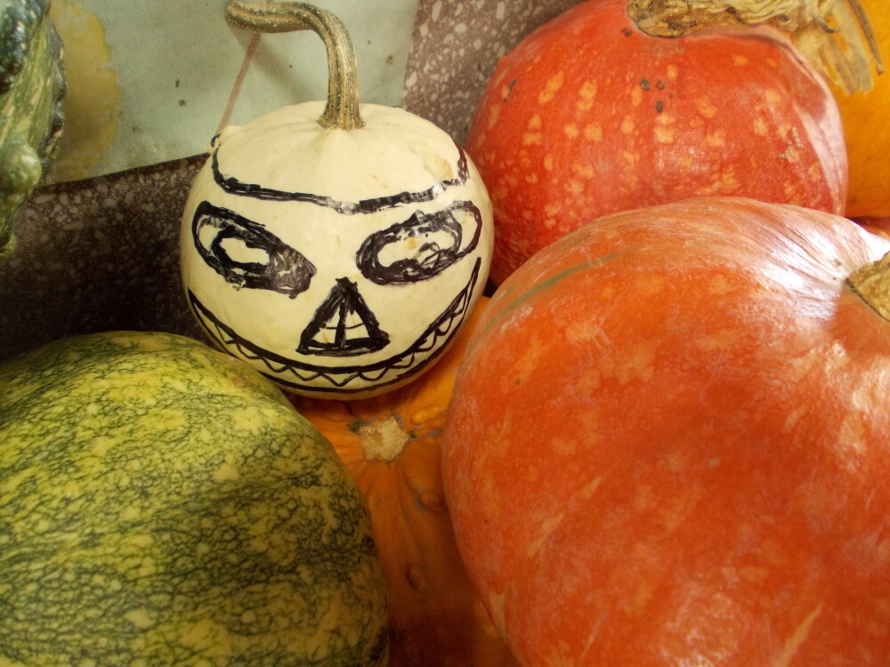 Dovleci pregatiti pentru noaptea de Halloween in pietele din Timisoara. Vezi galerie FOTO - Imaginea 12