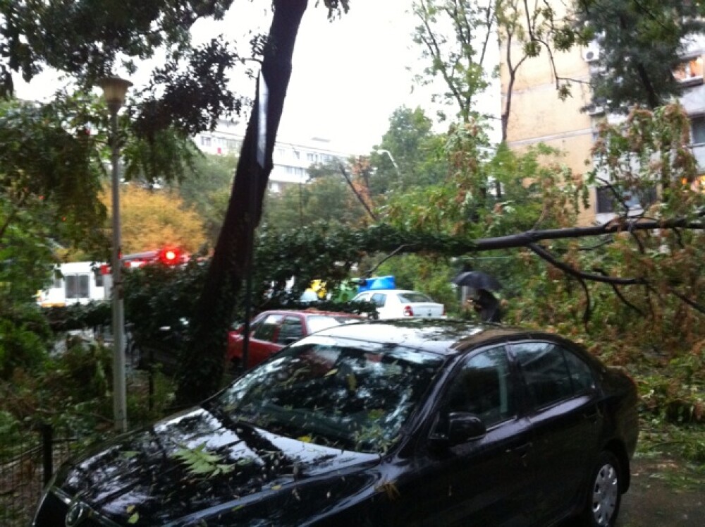 Copacii, panourile si acoperisurile, smulse de furtuna in Capitala. Trei persoane au fost ranite - Imaginea 11