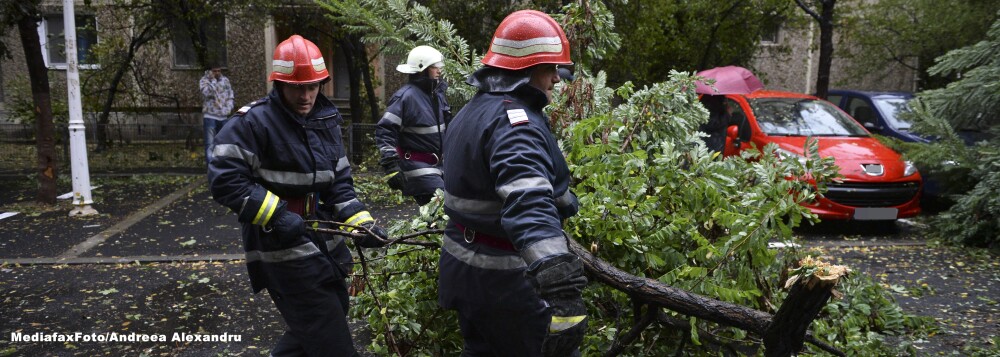Copacii, panourile si acoperisurile, smulse de furtuna in Capitala. Trei persoane au fost ranite - Imaginea 16