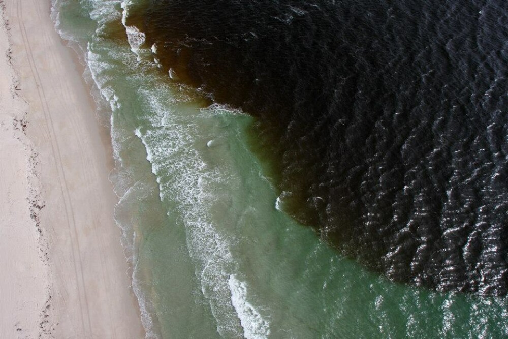 Imaginile unui paradis distrus. Cum arata azi plajele din Florida din cauza poluarii - Imaginea 11