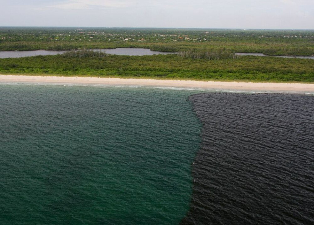 Imaginile unui paradis distrus. Cum arata azi plajele din Florida din cauza poluarii - Imaginea 4