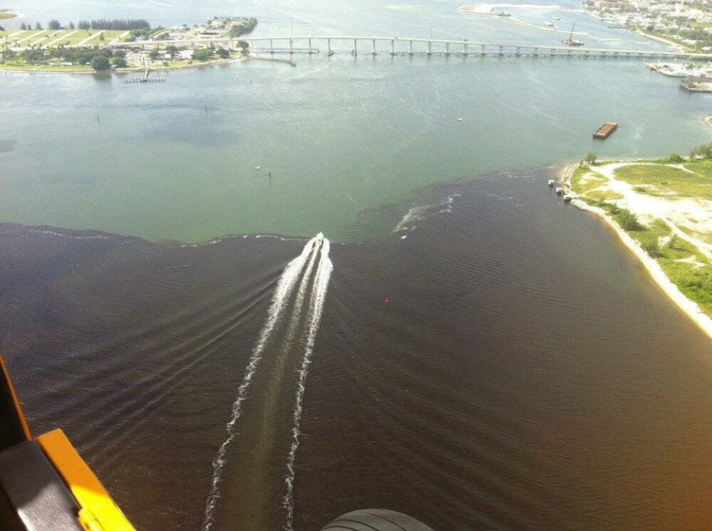 Imaginile unui paradis distrus. Cum arata azi plajele din Florida din cauza poluarii - Imaginea 6