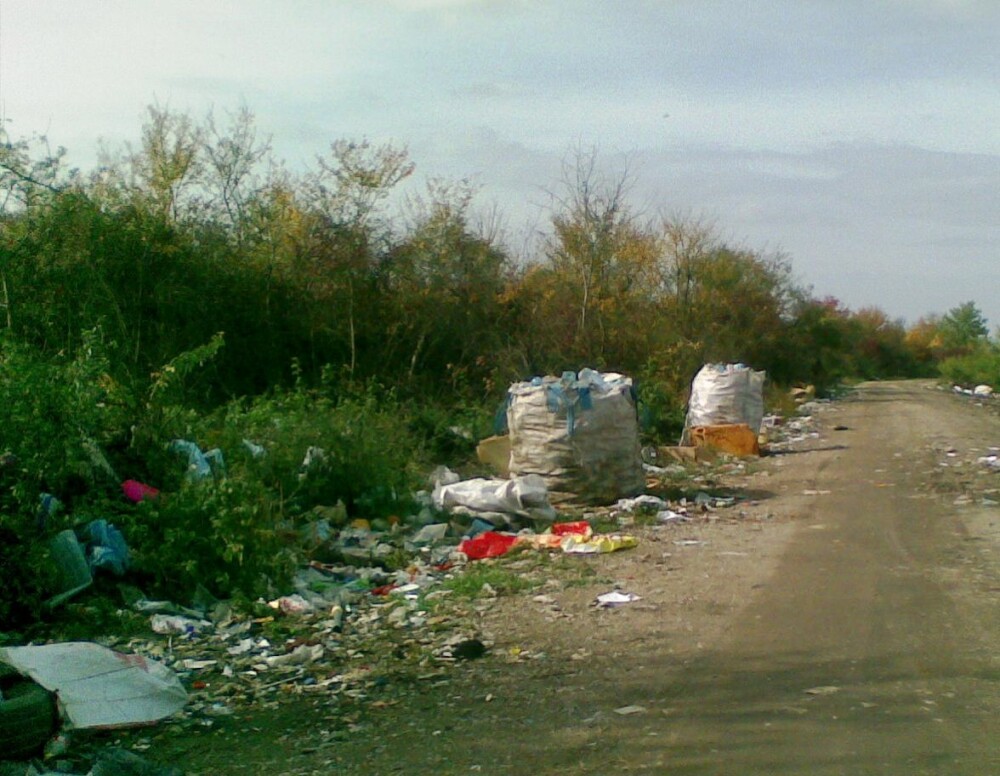 Razboiul gunoaielor intre primarii. In ce hal a ajuns sa arate un drum din Arad, in cateva luni.FOTO - Imaginea 8