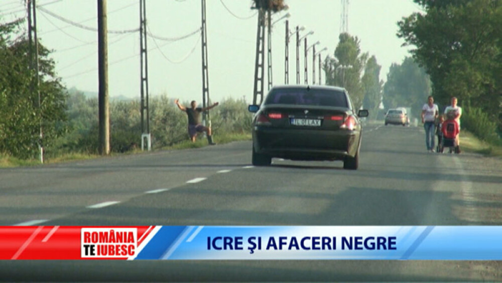 Mafia caviarului din Delta. Vanzatorii de icre negre si indolenta autoritatilor condamna la disparitie ultimii sturioni salbatici ai Europei. Partea I - Imaginea 9