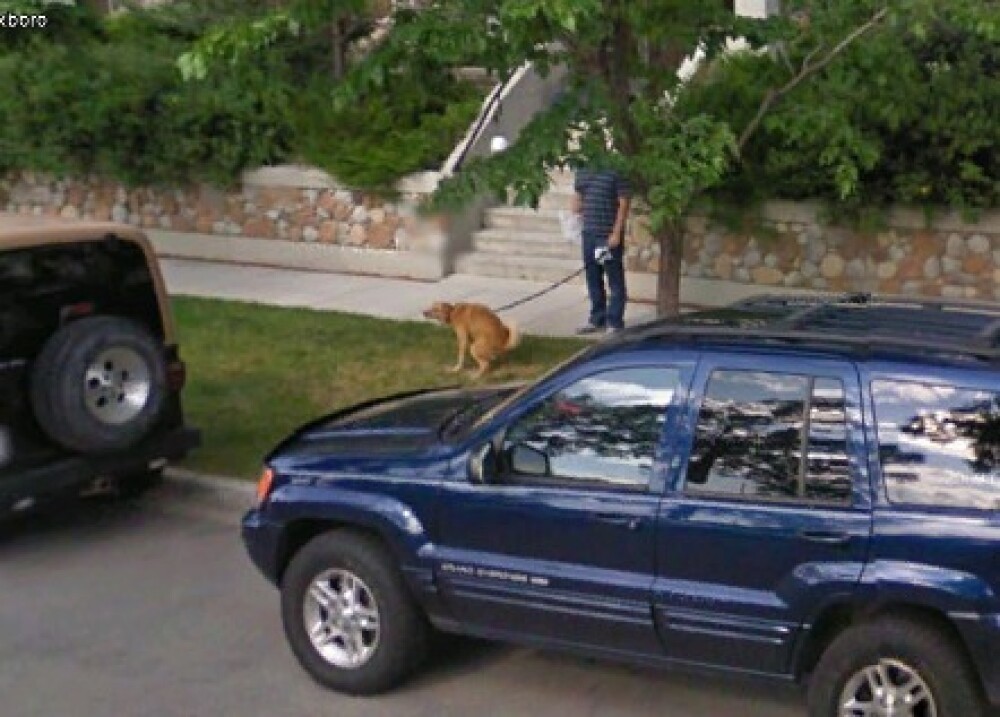 Cele mai ciudate momente surprinse de Google Street View. FOTO - Imaginea 6