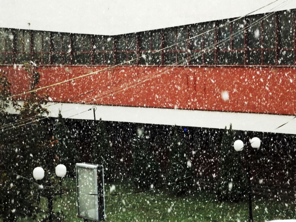 GALERIE FOTO cu prima ninsoare din acest sezon in Bucuresti. Mai multe zone au fost acoperite de zapada - Imaginea 7