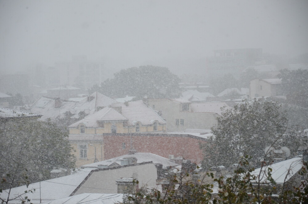 GALERIE FOTO cu prima ninsoare din acest sezon in Bucuresti. Mai multe zone au fost acoperite de zapada - Imaginea 15