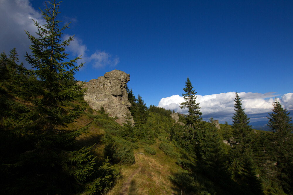 (P) Cum arata cea mai frumoasa poteca de munte din Romania. Statuia cu 3 fete care rivalizeaza cu Sfinxul din Bucegi - Imaginea 2