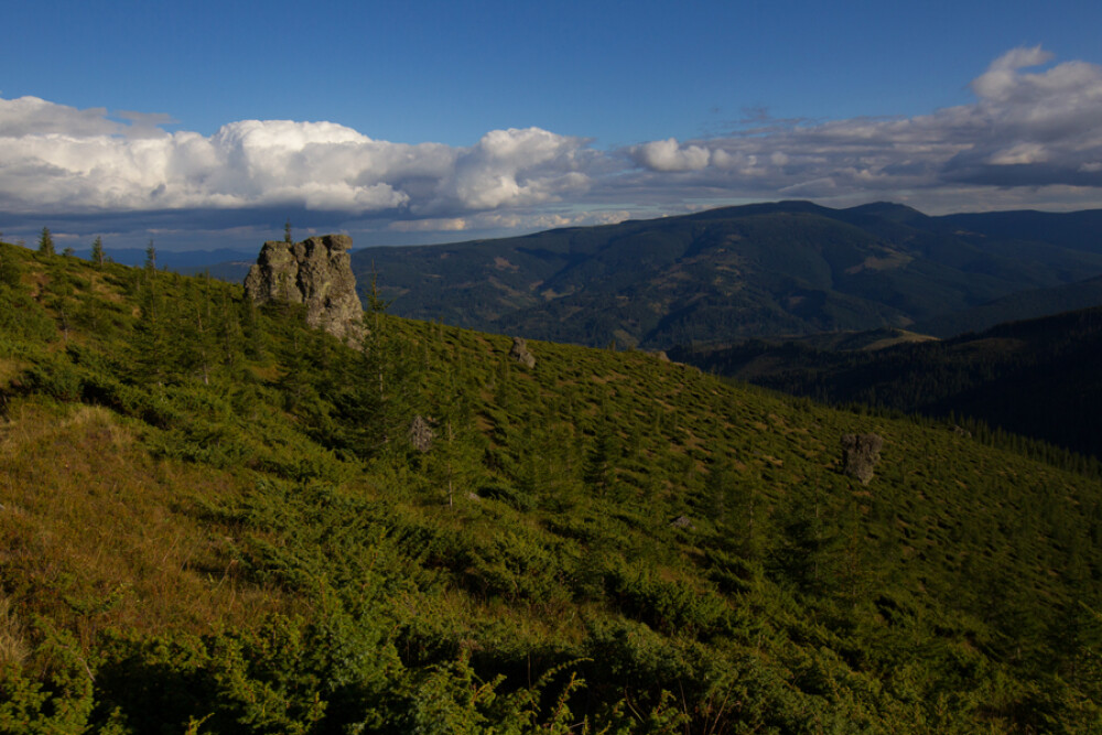 (P) Cum arata cea mai frumoasa poteca de munte din Romania. Statuia cu 3 fete care rivalizeaza cu Sfinxul din Bucegi - Imaginea 4