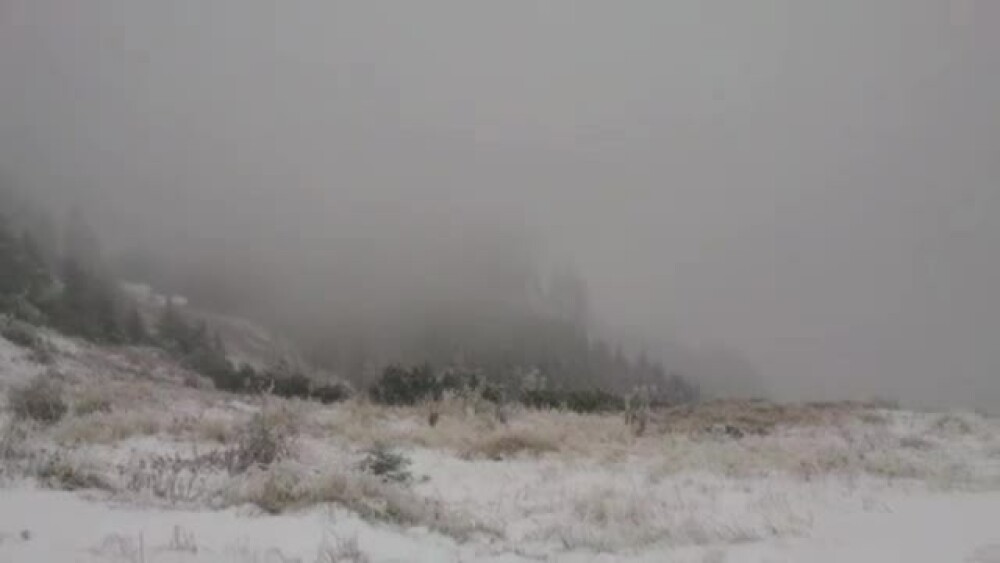Inca este toamna, dar nordul Romaniei arata ca de Craciun. FOTO si VIDEO cu prima ninsoare din acest sezon - Imaginea 3