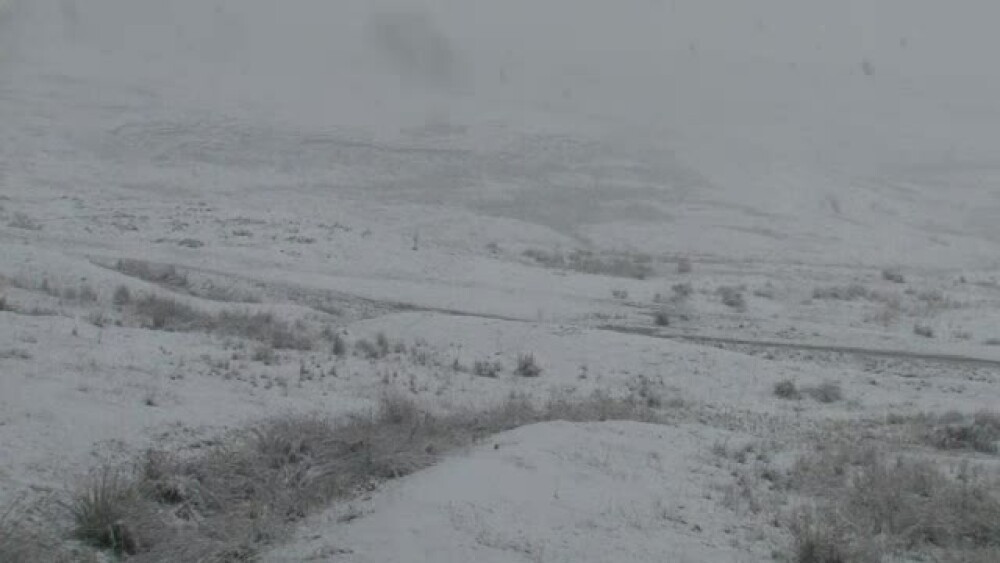 Inca este toamna, dar nordul Romaniei arata ca de Craciun. FOTO si VIDEO cu prima ninsoare din acest sezon - Imaginea 11
