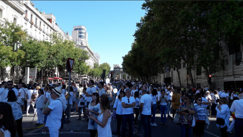 Mii de persoane fac apel la unitatea Spaniei, pe străzile din Madrid - Imaginea 4
