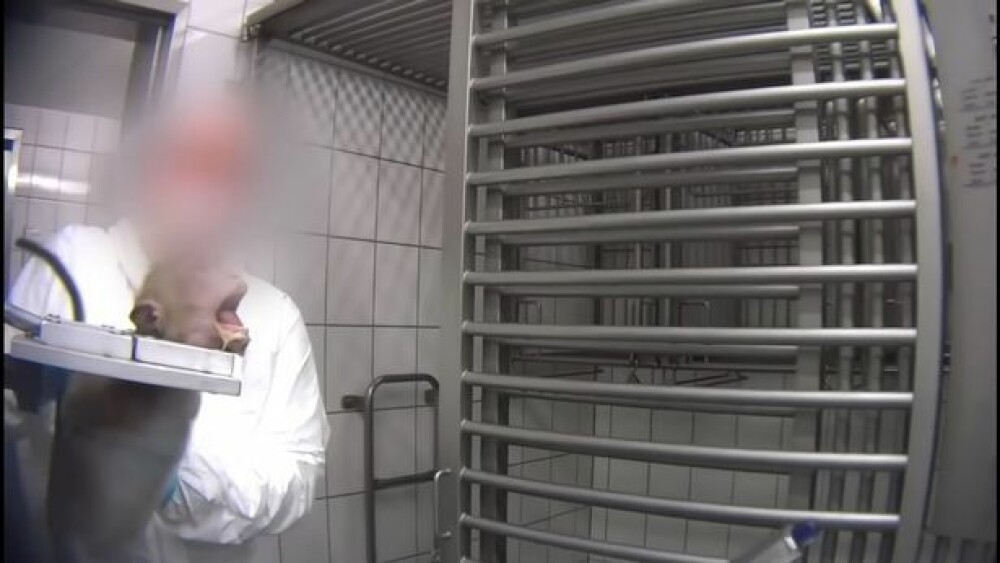 Imagini șocante într-un laborator din Germania. Maimuțe torturate în experimente - Imaginea 2