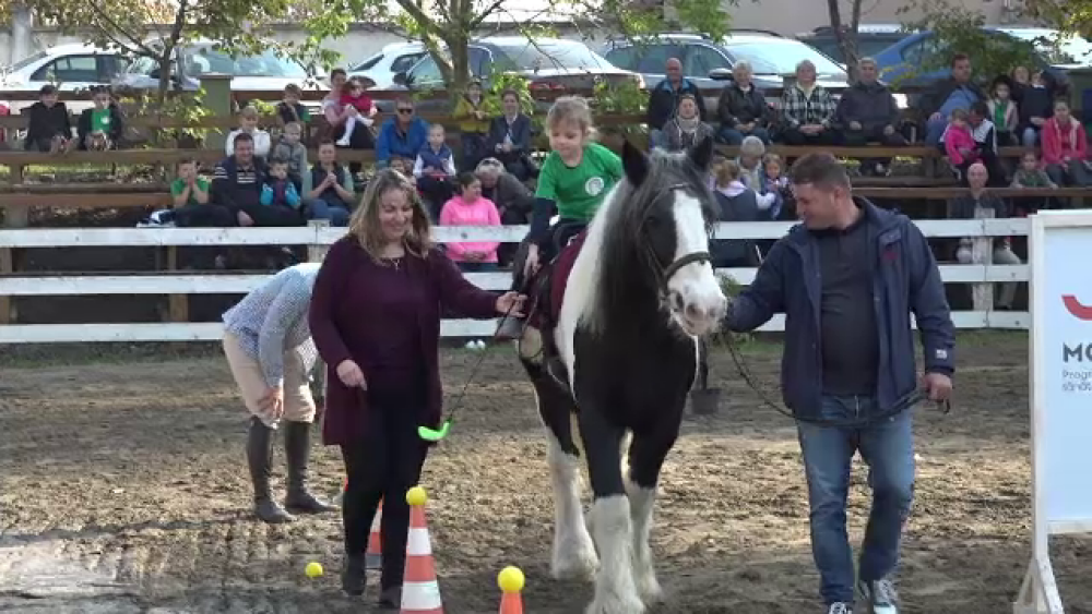 Terapie prin echitație. Mai multe familii au luat parte la un concurs de călărit - Imaginea 5